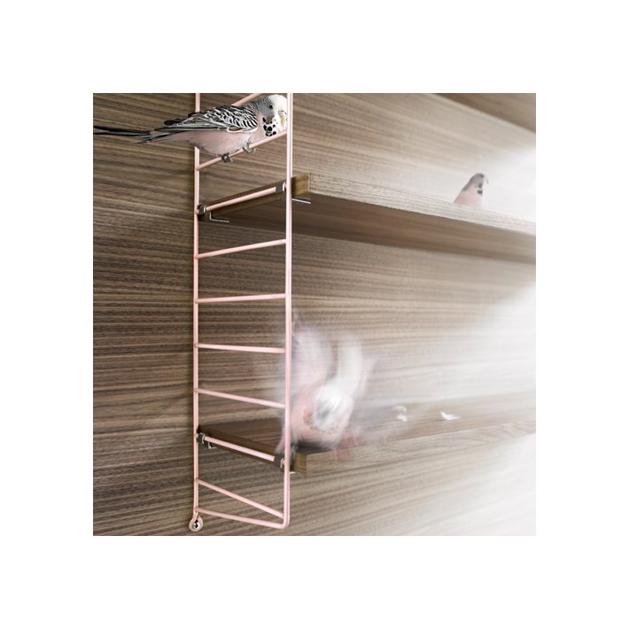 String Soft - Pastel Rosa