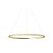 Nemo Lighting - Ellisse Pendant I Minor I Downlight