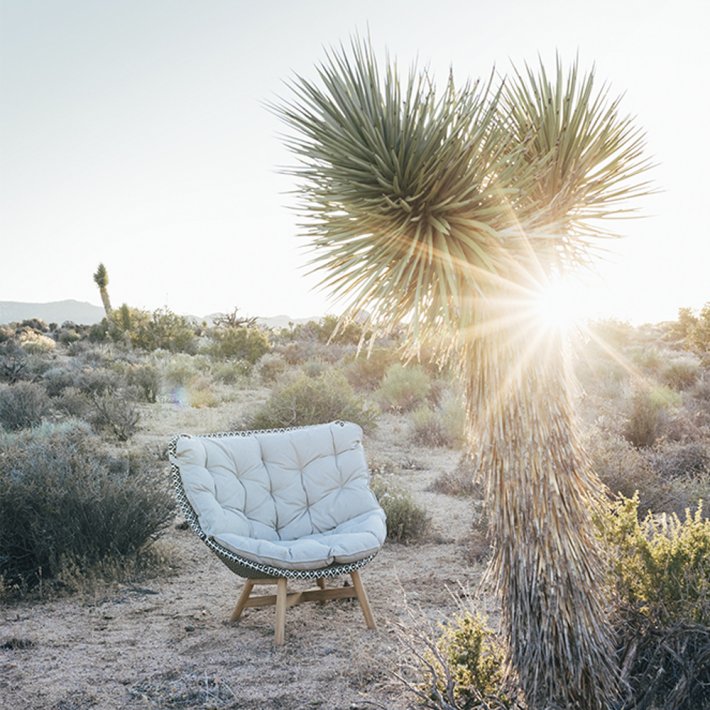 Dedon - MBRACE Wing Chair I Teak/Pepper