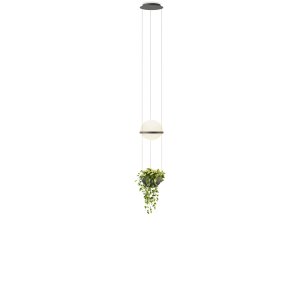 Vibia - Palma 3724 | Pendel