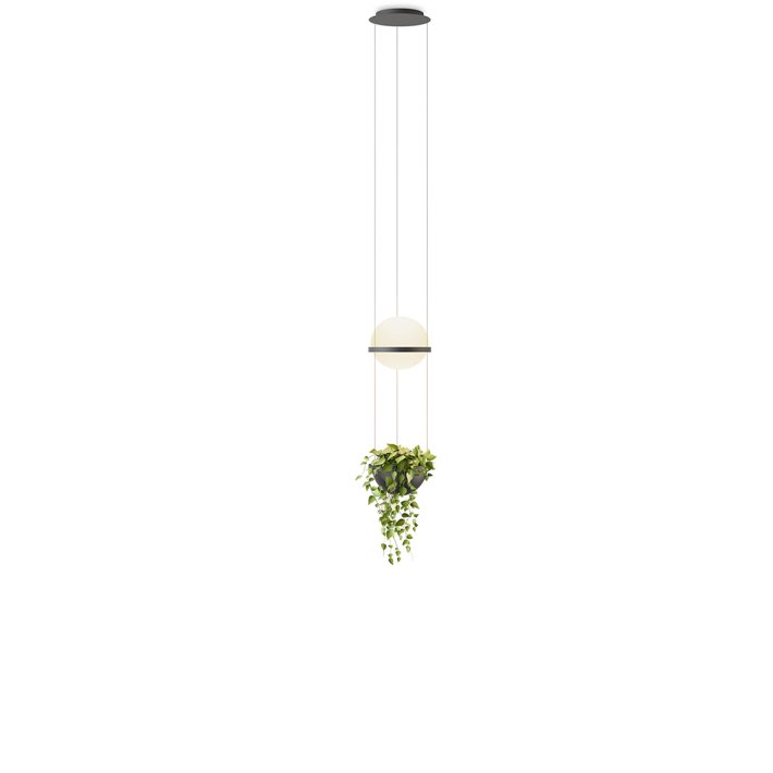 Vibia - Palma 3724 | Pendel